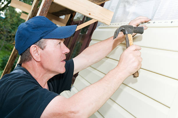 Best Vinyl Siding Installation  in Alton, IL